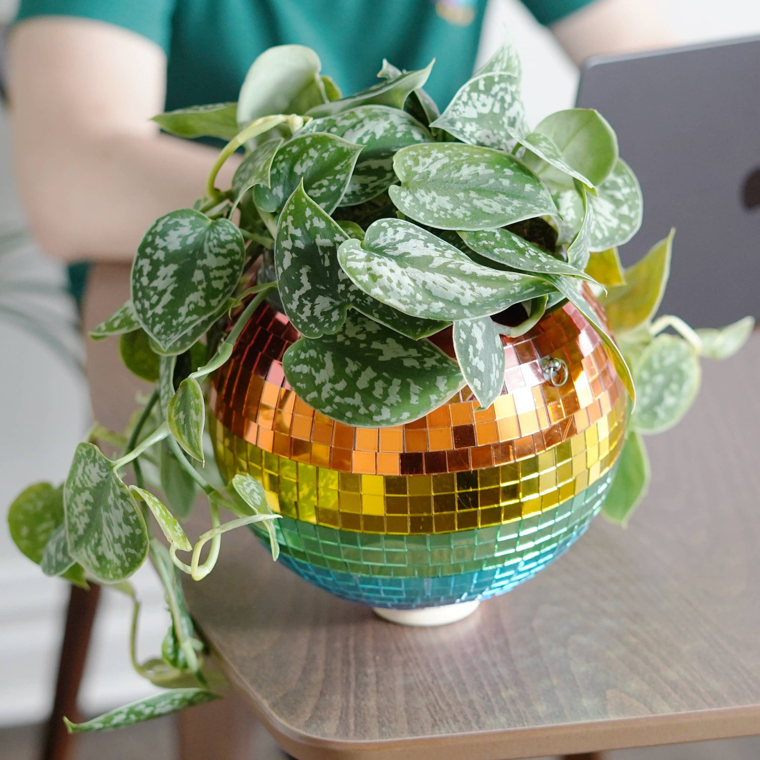 Disco ball hanging planter rainbow 8-inch from Urban Tropicana&