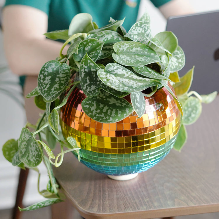 Disco ball hanging planter rainbow 8-inch from Urban Tropicana&