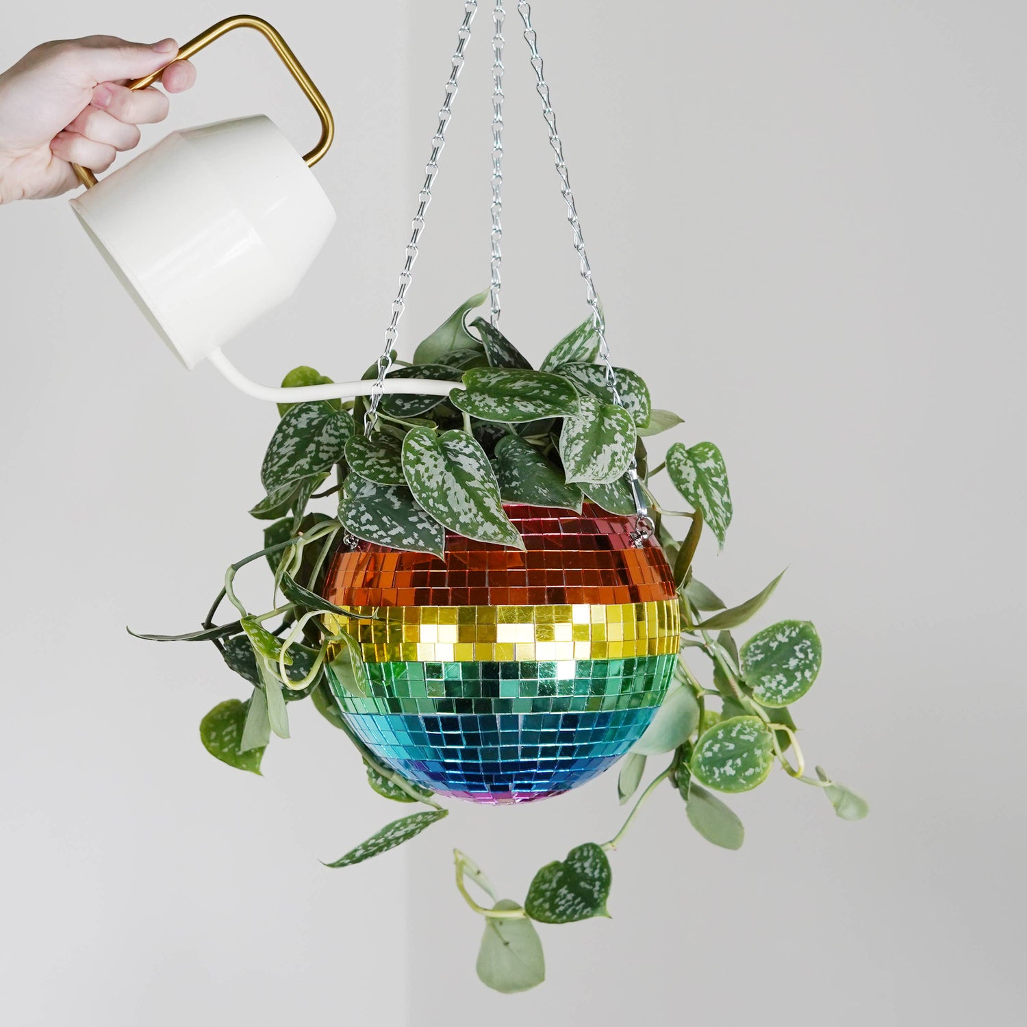Disco ball hanging planter rainbow 8-inch from Urban Tropicana&