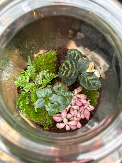 Terrarium Strepe
