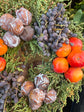 Wreath Fruit | Mini