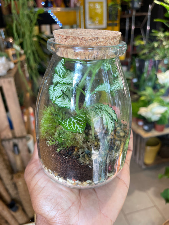 Terrarium IO