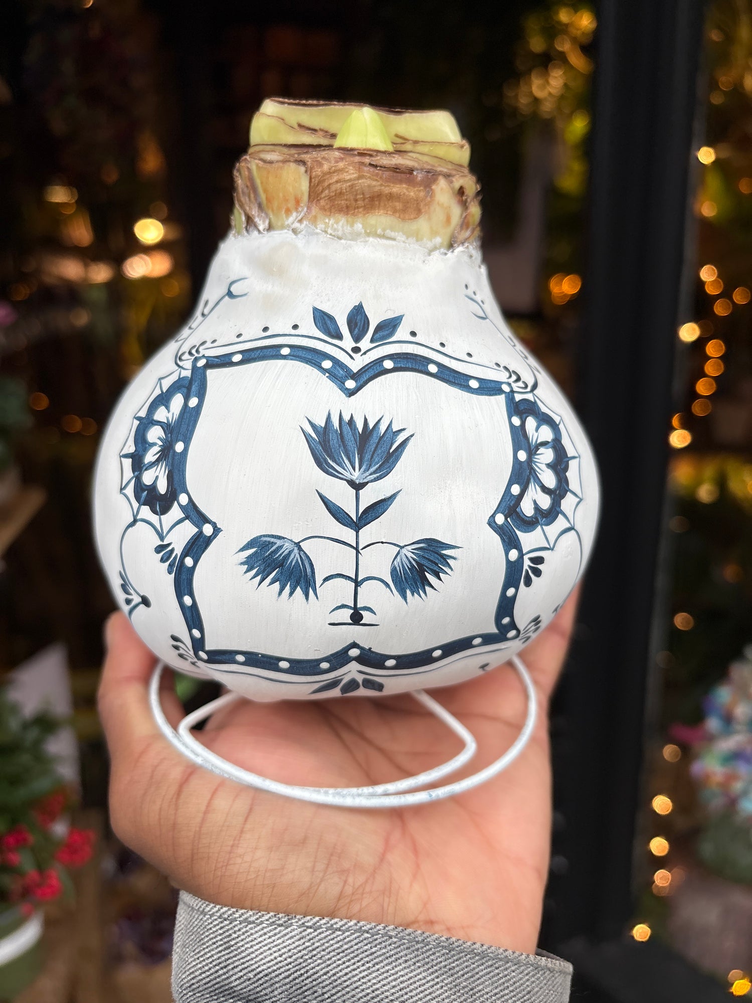 A Hand Painted White Amaryllis in front of Urban Tropicana’s Plant Shop in Chiswick London