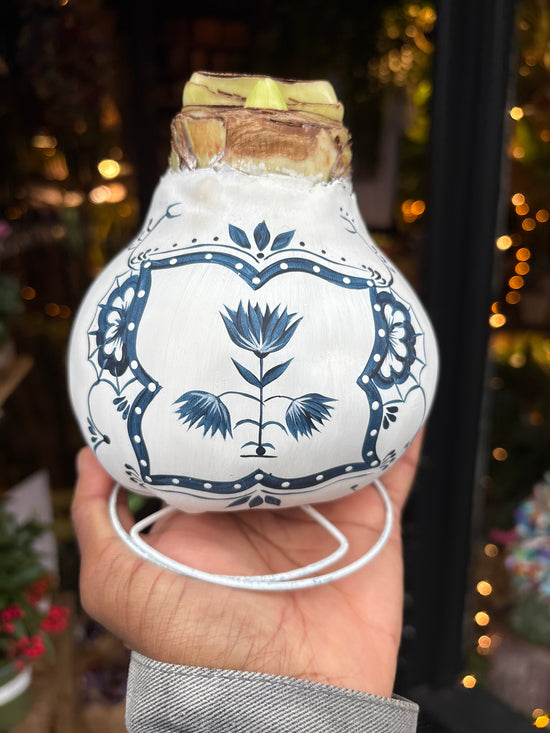 A Hand Painted White Amaryllis in front of Urban Tropicana’s Plant Shop in Chiswick London