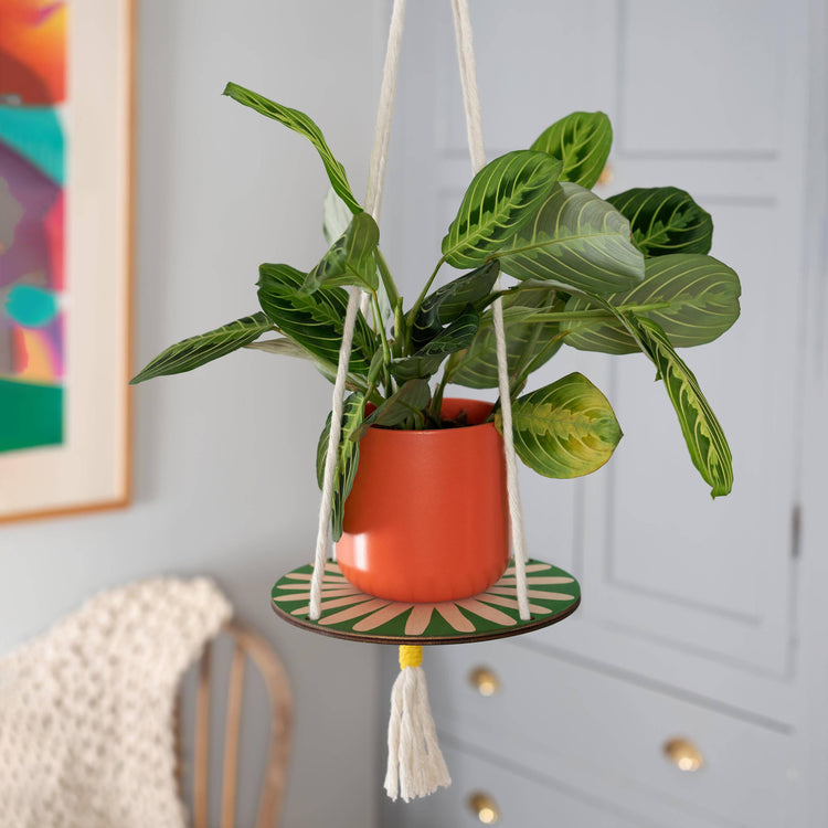 Hanging macrame plant shelf. Green and white daisy print with natural white macrame twine and brass plated hoops. Made in England. 