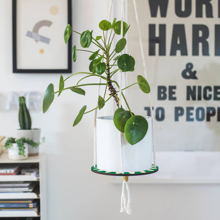 Hanging macrame plant shelf. Green and white daisy print with natural white macrame twine and brass plated hoops. Made in England. 