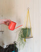 Hanging macrame plant shelf that rests nearly against the wall. Yellow and white floral print with colourful twine, brass plated hoops and crimp bars. Made in England. 