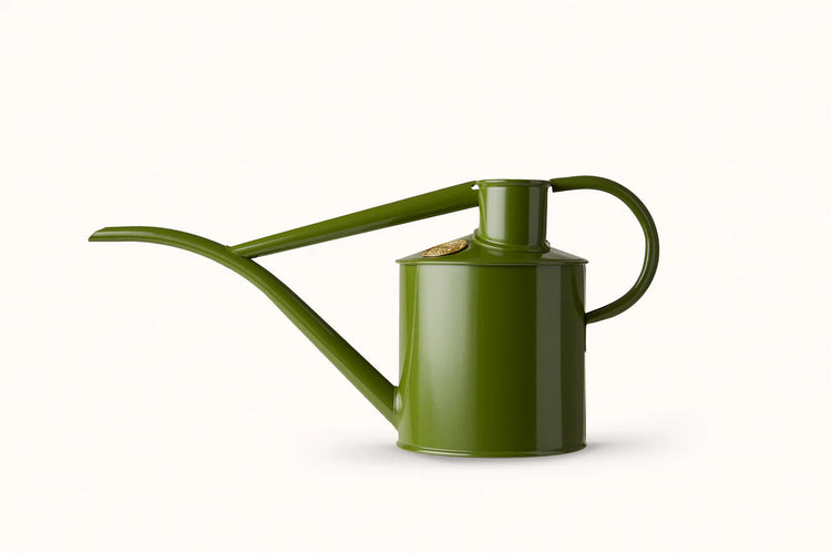 Haws Fazeley Flow Two Pint Fern Green watering can in front of a white background