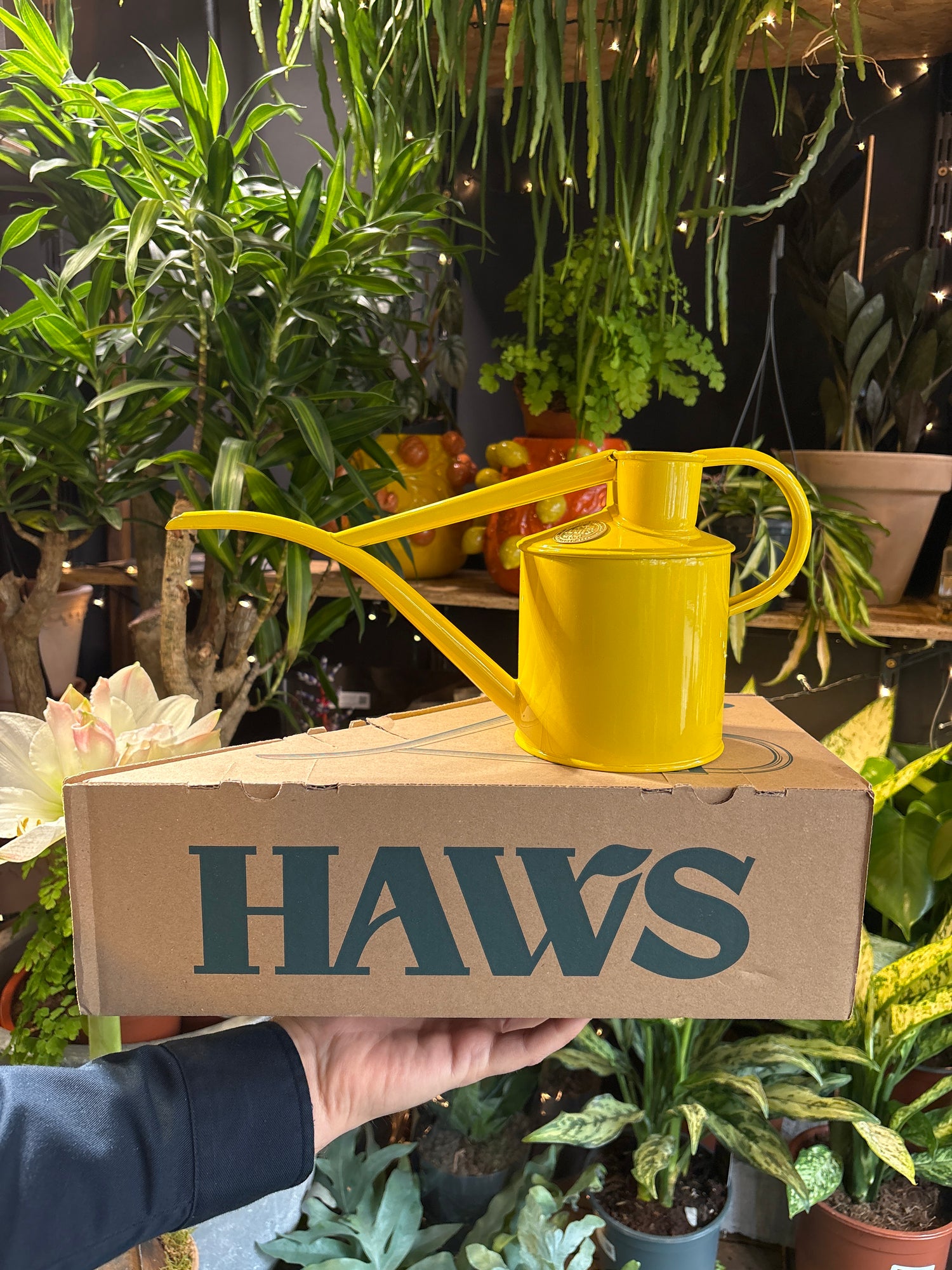 Haws Fazeley Flow Two Pint Lotus Yellow watering can in front of a white background