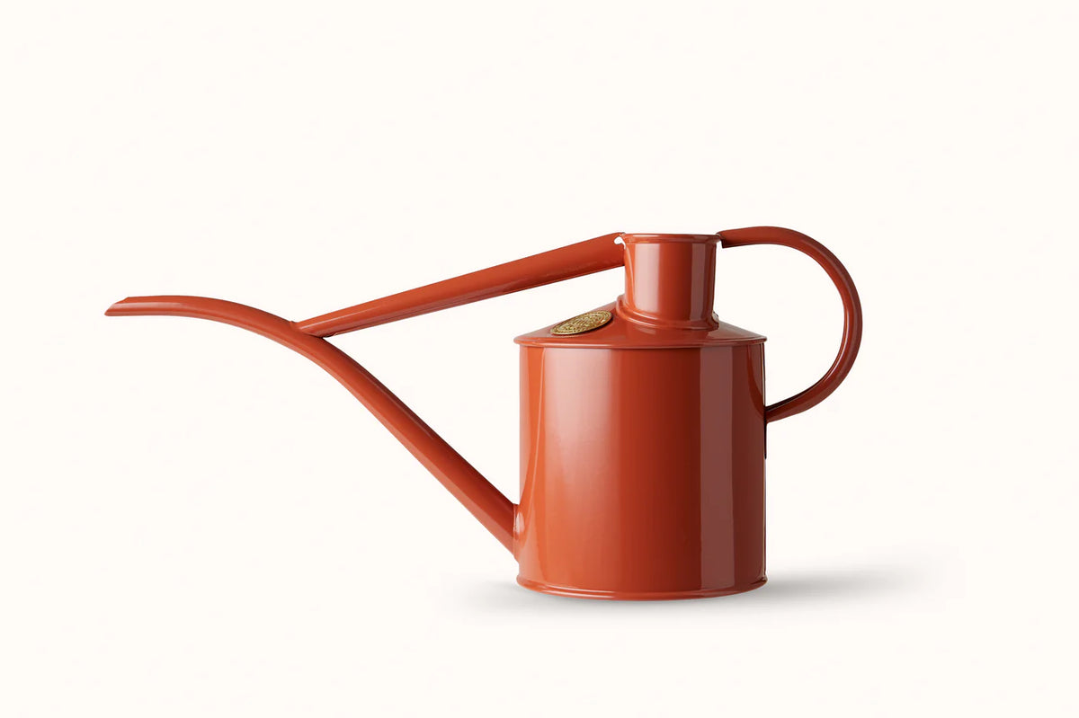 Haws Fazeley Flow Two Pint Terracota Orange watering can in front of a white background