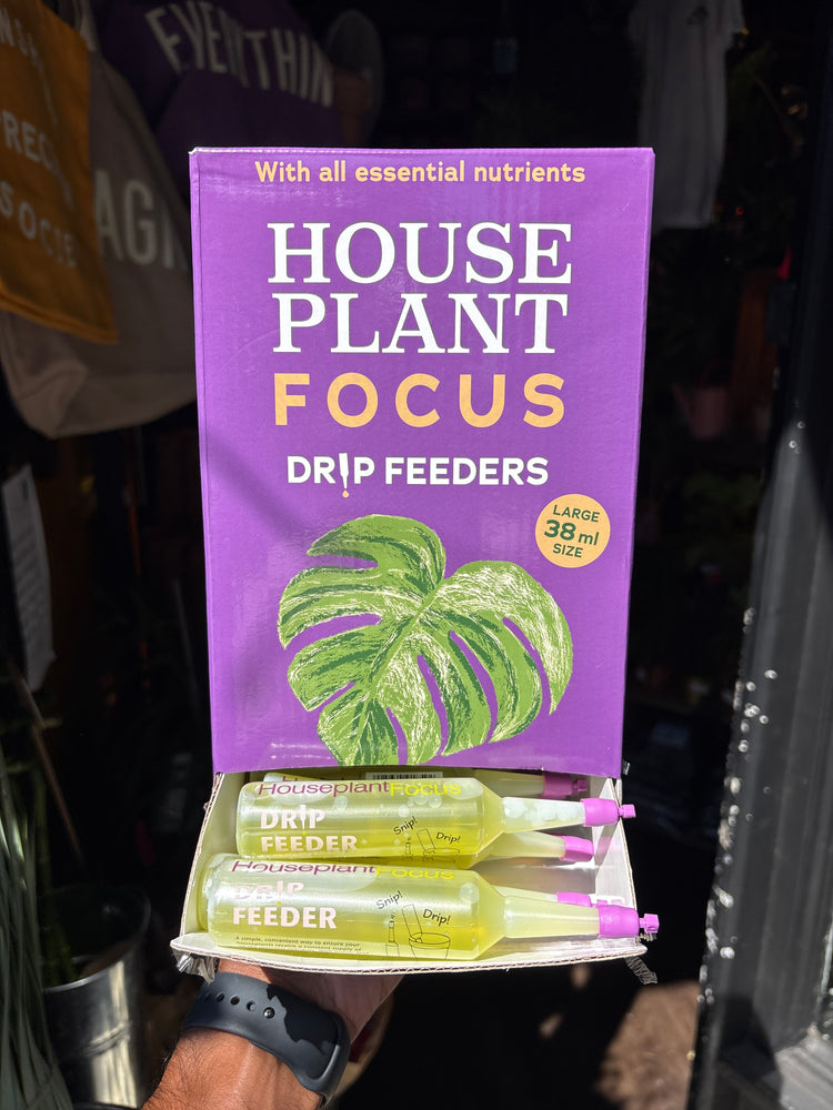 A purple box of House Plant Focus Drip Feeders outside Urban Tropicana, Chiswick, London