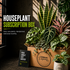 Houseplant subscription box with various plants and branded card on a dark surface.