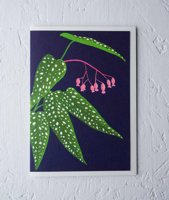 Greeting Card - ‘Begonia Tamaya’ by Stengun Drawings
