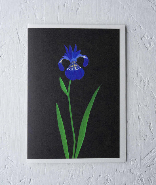 Greeting Card - ‘Chelsea Iris’ by Stengun Drawings