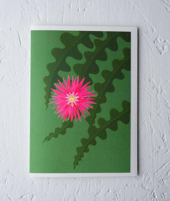 Greeting Card - ‘Fishbone Cactus’ by Stengun Drawings