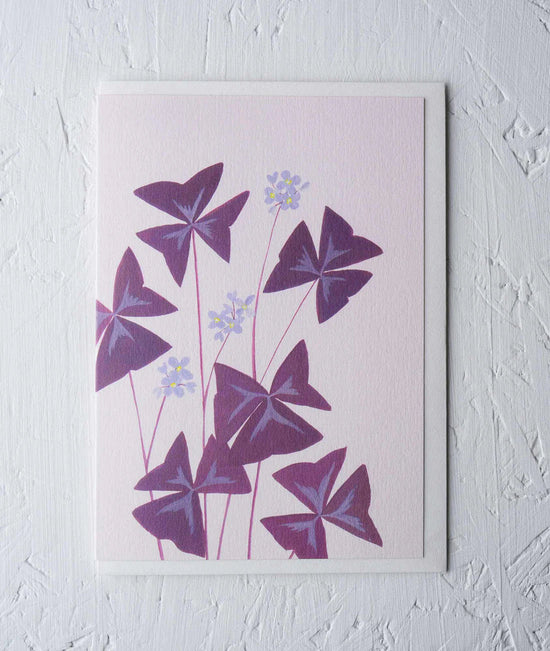 Greeting Card - ‘Oxalis Triangularis’ by Stengun Drawings