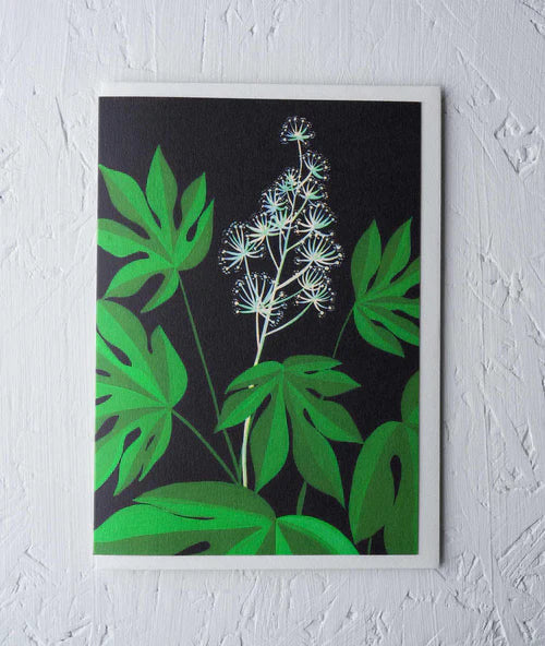 Greeting Card - ‘Fatsia Japonica’ by Stengun Drawings
