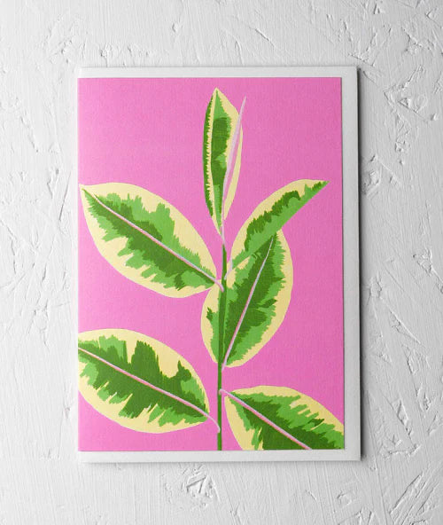 Greeting Card - ‘Variegated Rubber Plant’ by Stengun Drawings