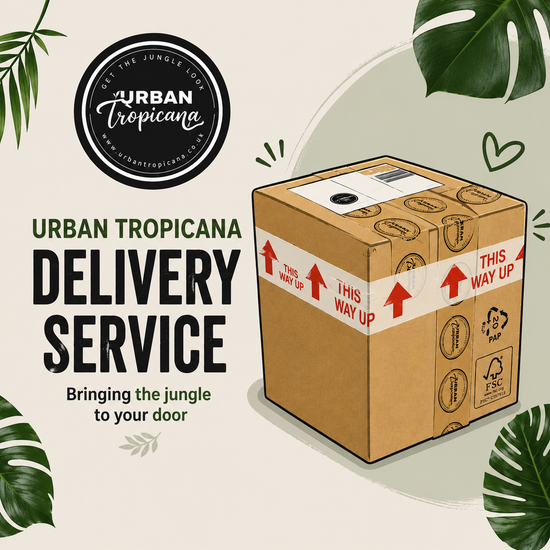 Delivery