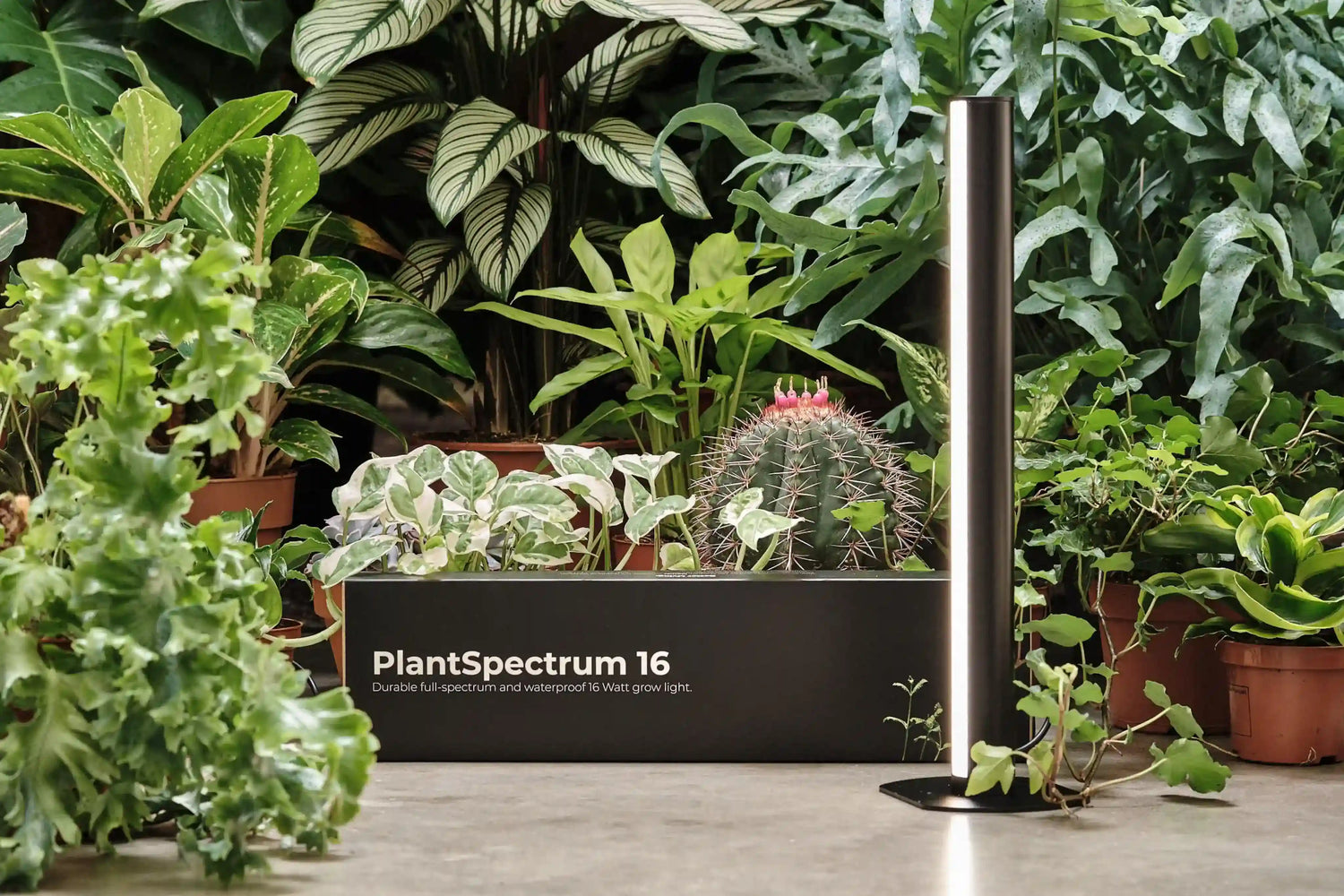 16” PlantSpectrum Grow Light in front of foliage