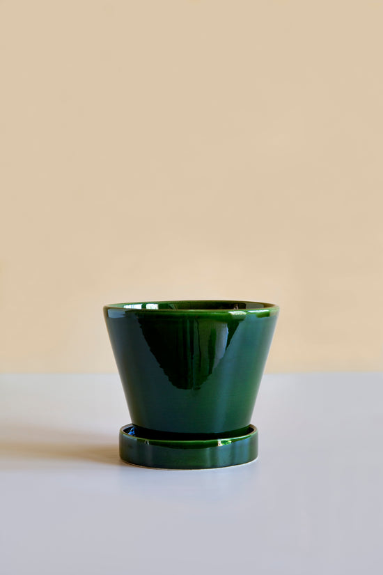 Bergs Potter | Julie | Glazed Emerald Green Pot & Saucer