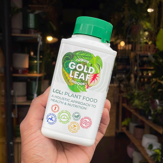liquid gold leaf plant fertilizer Liquid Gold Leaf - Feed & Care - Plant Shop