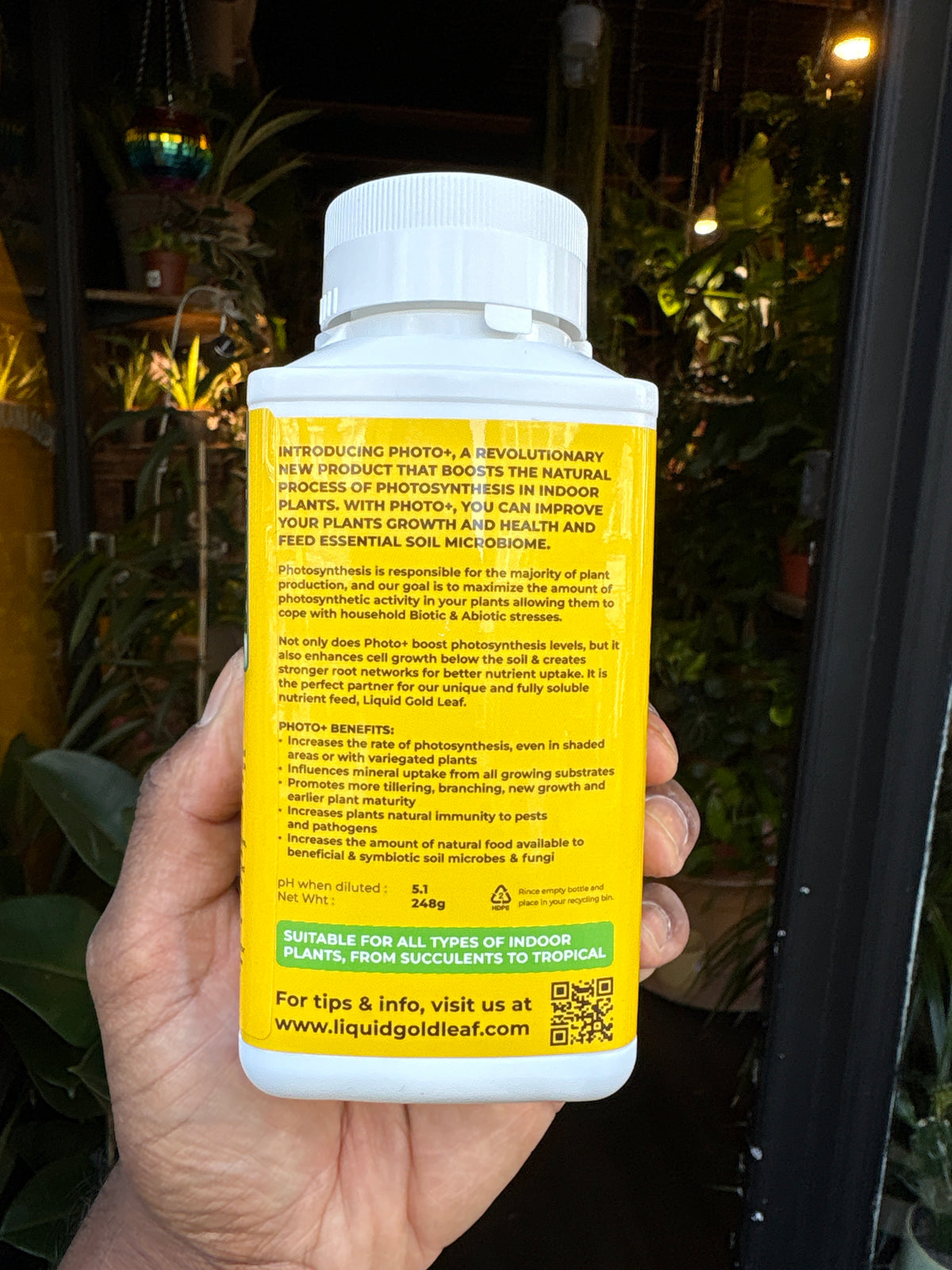 Liquid Gold Leaf Photo+ in front of Urban Tropicana’s store in Chiswick, London. Boosts natural process of photosynthesis by increasing enzymatic and hormonal activity. Boosts variegation, plant immunity, and root cell growth. 