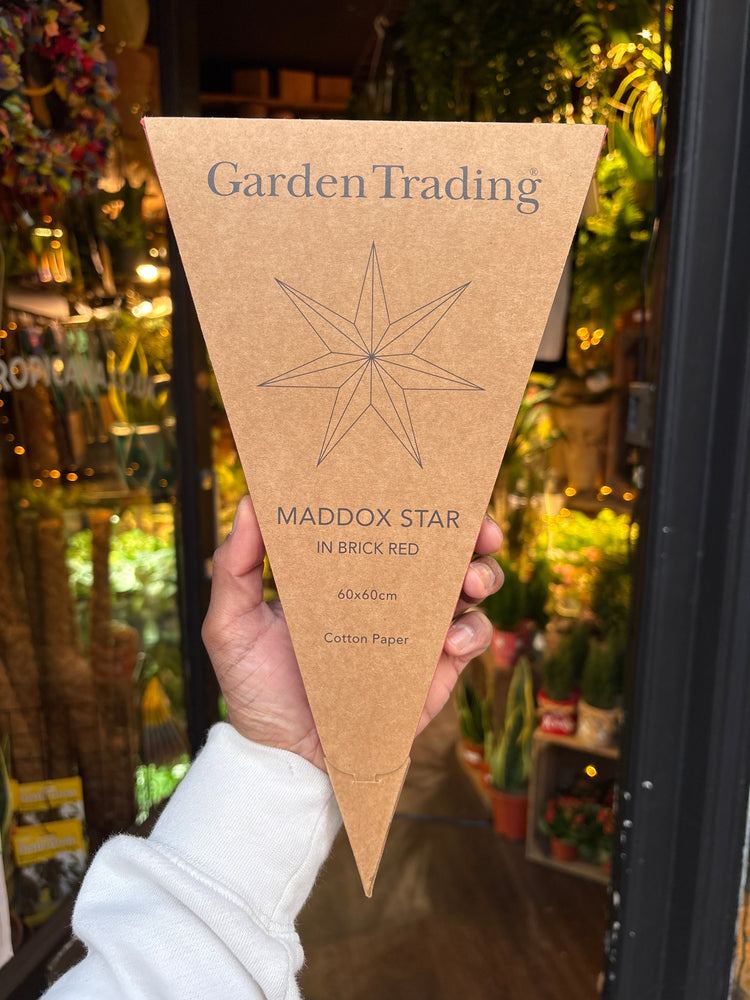 Person holding a triangular cardboard seed packet with &