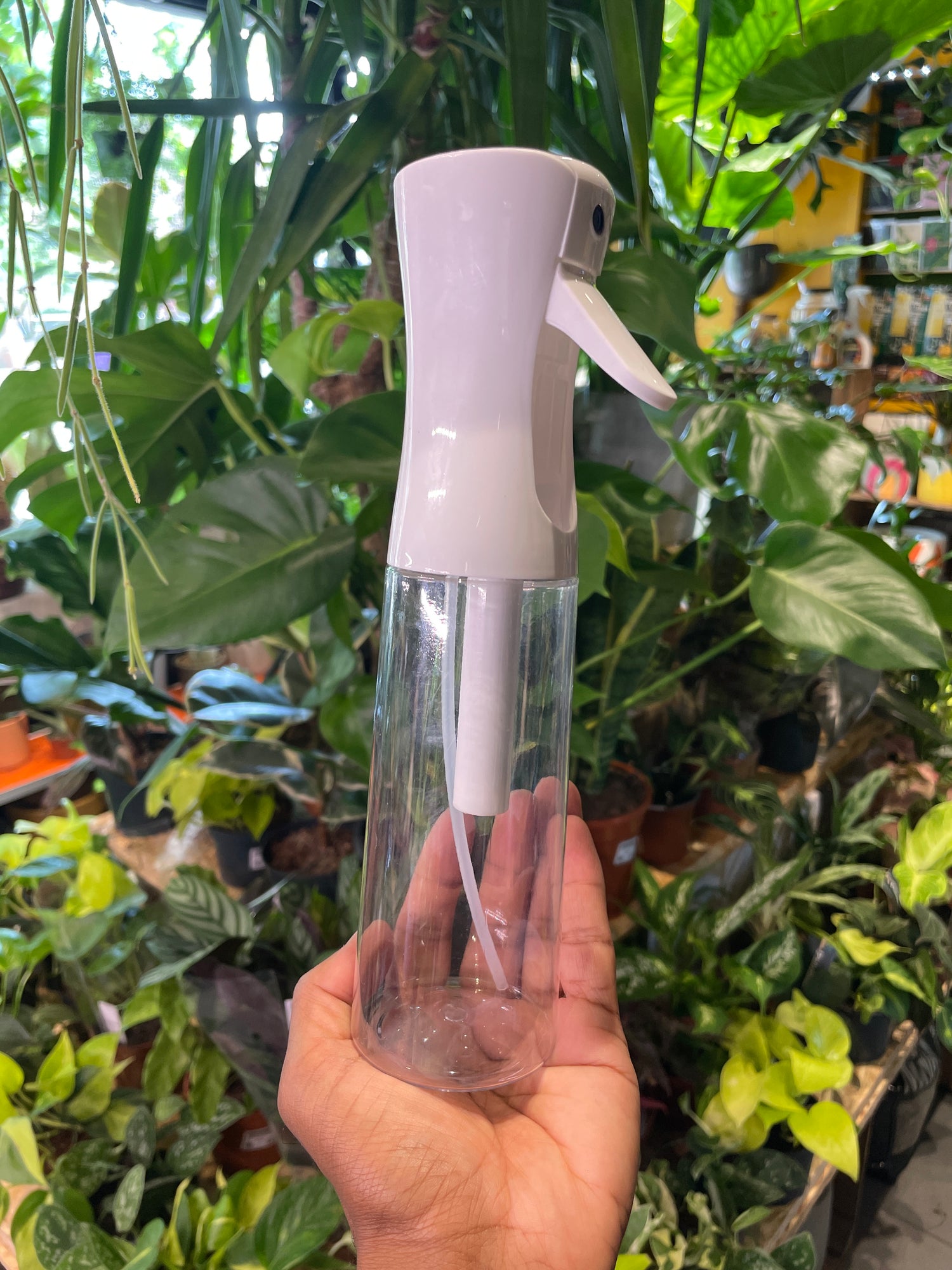 Clear mister bottle to increase humidity, aid with dusting, and keeping leaves moist. 