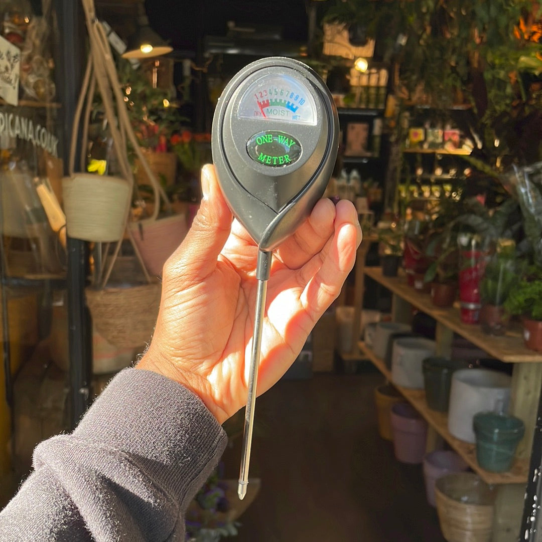 Moisture Meter in Urban Tropicana’s plant shop in Chiswick London