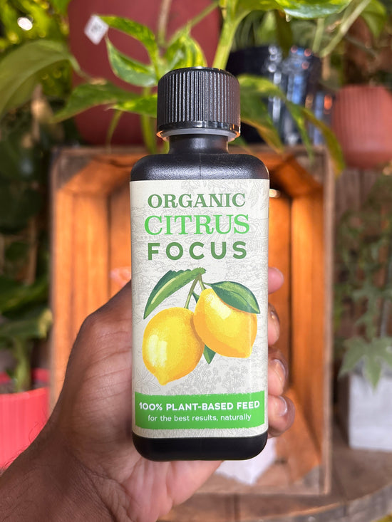 Bottle of “Organic Citrus Focus” in Urban Tropicana&