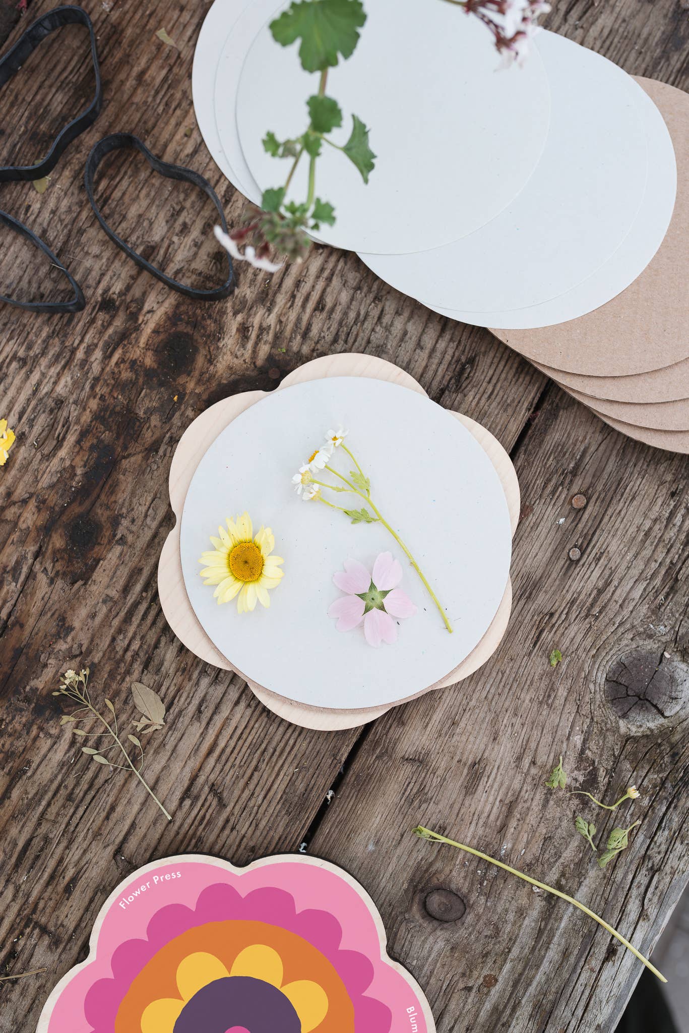 Pocket flower press that is a perfect size to press and dry flowers on the go. Flower-shaped in pink qnd yellow.. Strong elastic bands, 6 sheets of corrugated card and 10 sheets of sugar paper to ensure good pressing. 