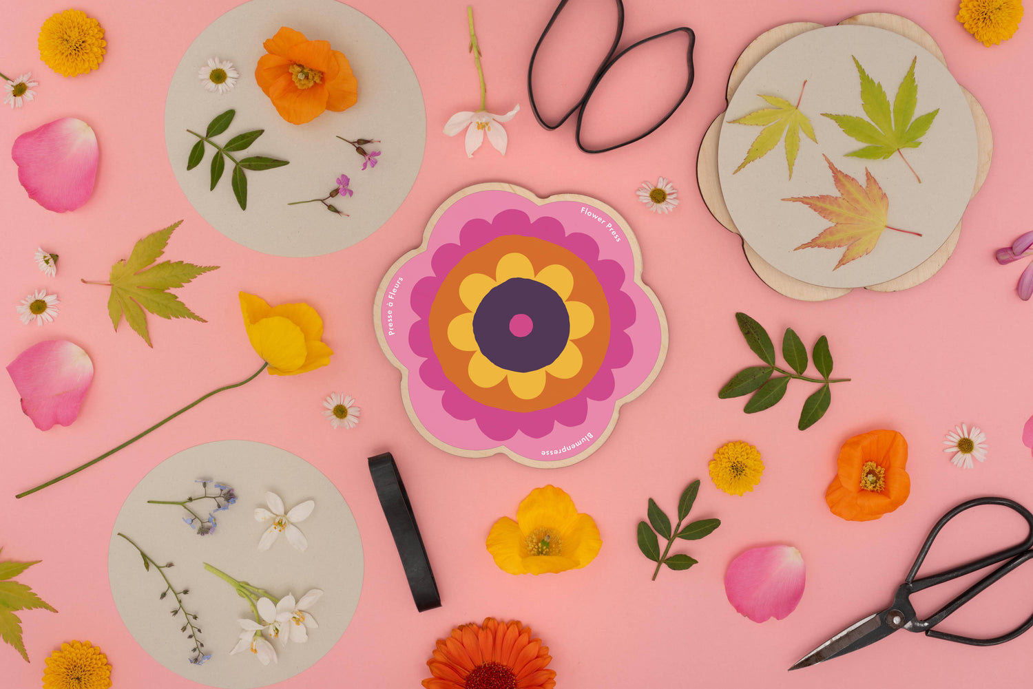 Pocket flower press that is a perfect size to press and dry flowers on the go. Flower-shaped in pink qnd yellow.. Strong elastic bands, 6 sheets of corrugated card and 10 sheets of sugar paper to ensure good pressing. 