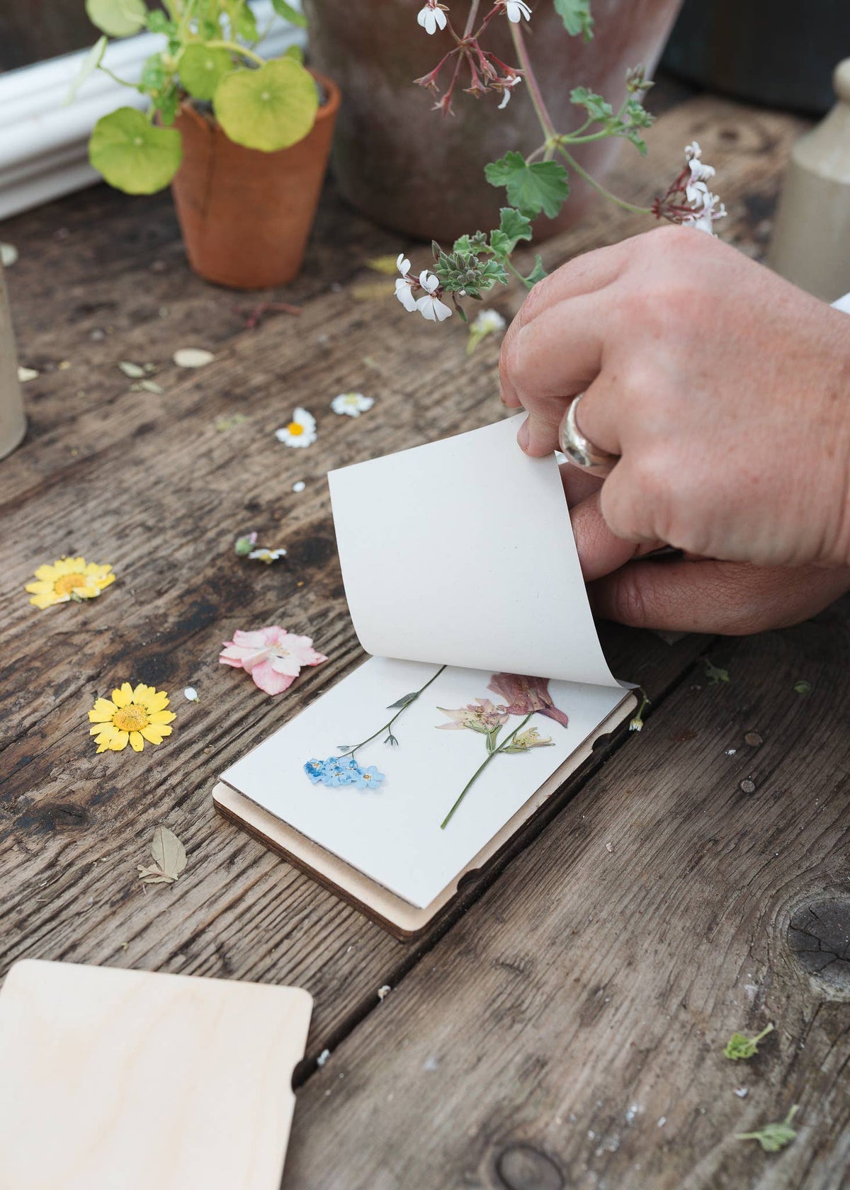 Pocket flower press that is a perfect size to press and dry flowers on the go. Blue, yellow and green dandelion print. Strong elastic bands, 5 sheets of corrugated card and 8 sheets of sugar paper to ensure good pressing. 