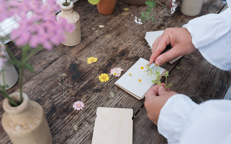 Pocket flower press that is a perfect size to press and dry flowers on the go. Blue, yellow and green dandelion print. Strong elastic bands, 5 sheets of corrugated card and 8 sheets of sugar paper to ensure good pressing. 