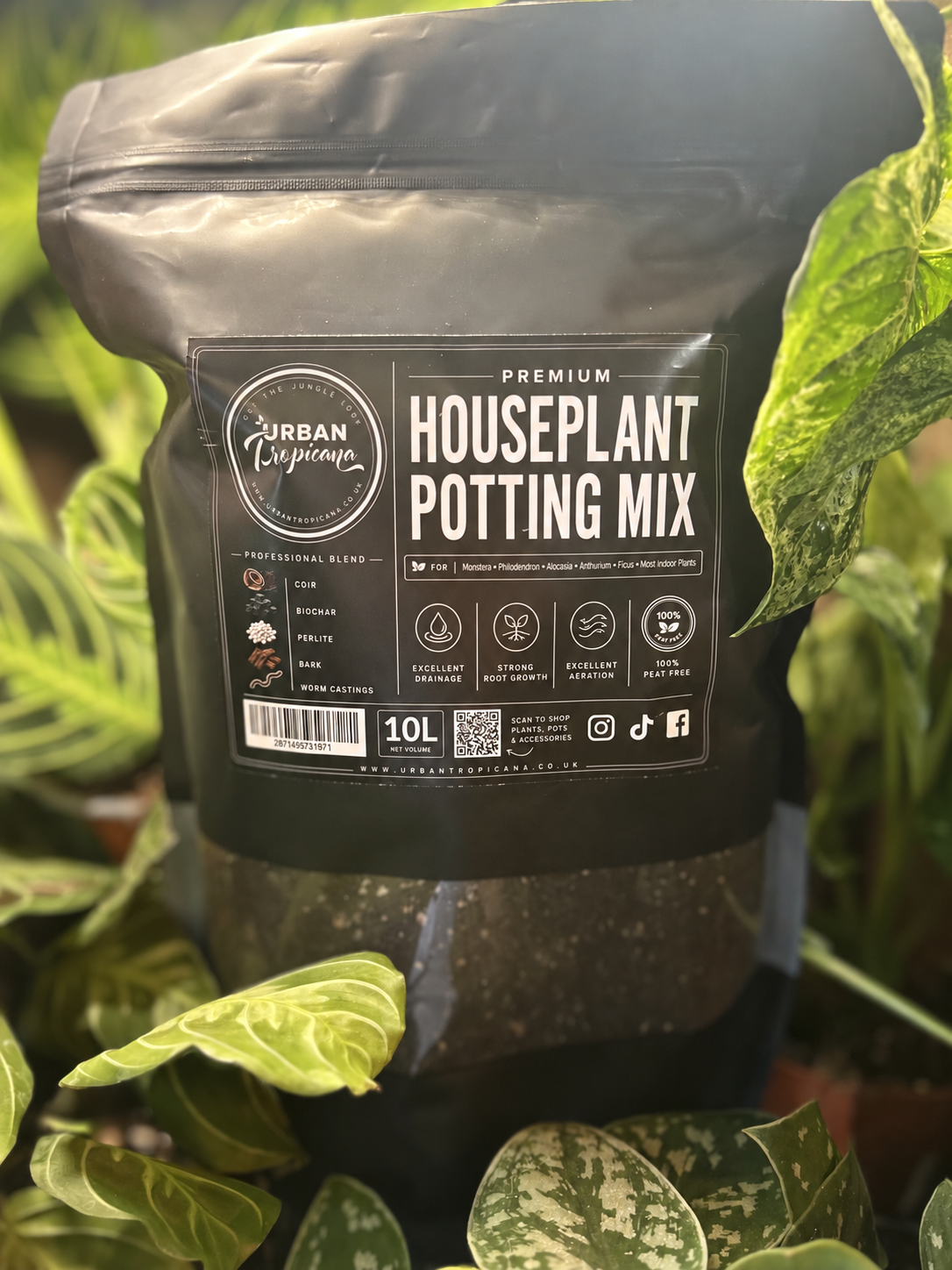 A 10L black resealable pouch of Urban Inspirations Premium Houseplant Potting Mix, nestled among green houseplant leaves.
