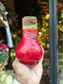 A red Amaryllis Wax Bulb in front of Urban Tropicana’s Plant Shop in Chiswick London