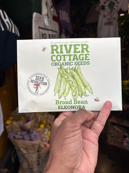 River Cottage organic seed pack broad bean outside Urban Tropicana plant shop in Chiswick, London