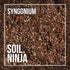 Soil Ninja | Syngonium 2.5L found in Urban Tropicana’s store in Chiswick, London