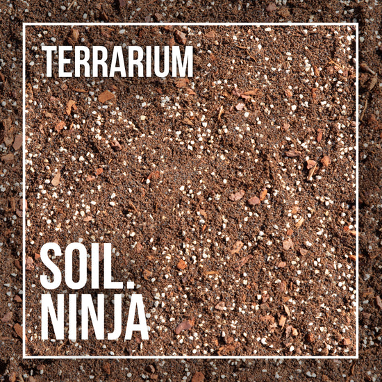 Soil Ninja | Terrarium 2.5L found in Urban Tropicana’s store in Chiswick, London