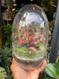 A Terrarium Egg in front of Urban Tropicana&