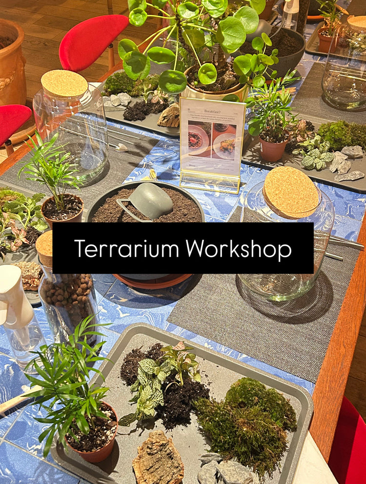 Terrarium workshop setup with plants and materials on a table.