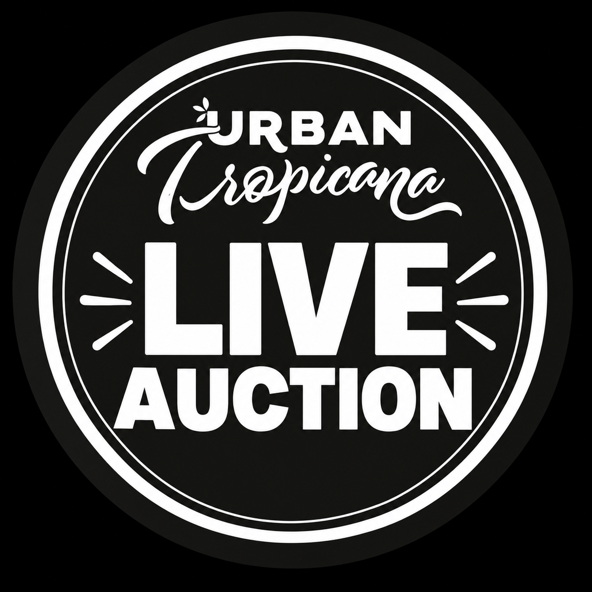 Live Auction House Plant