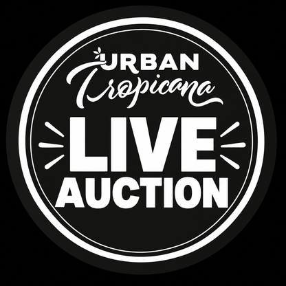 Live Auction House Plant