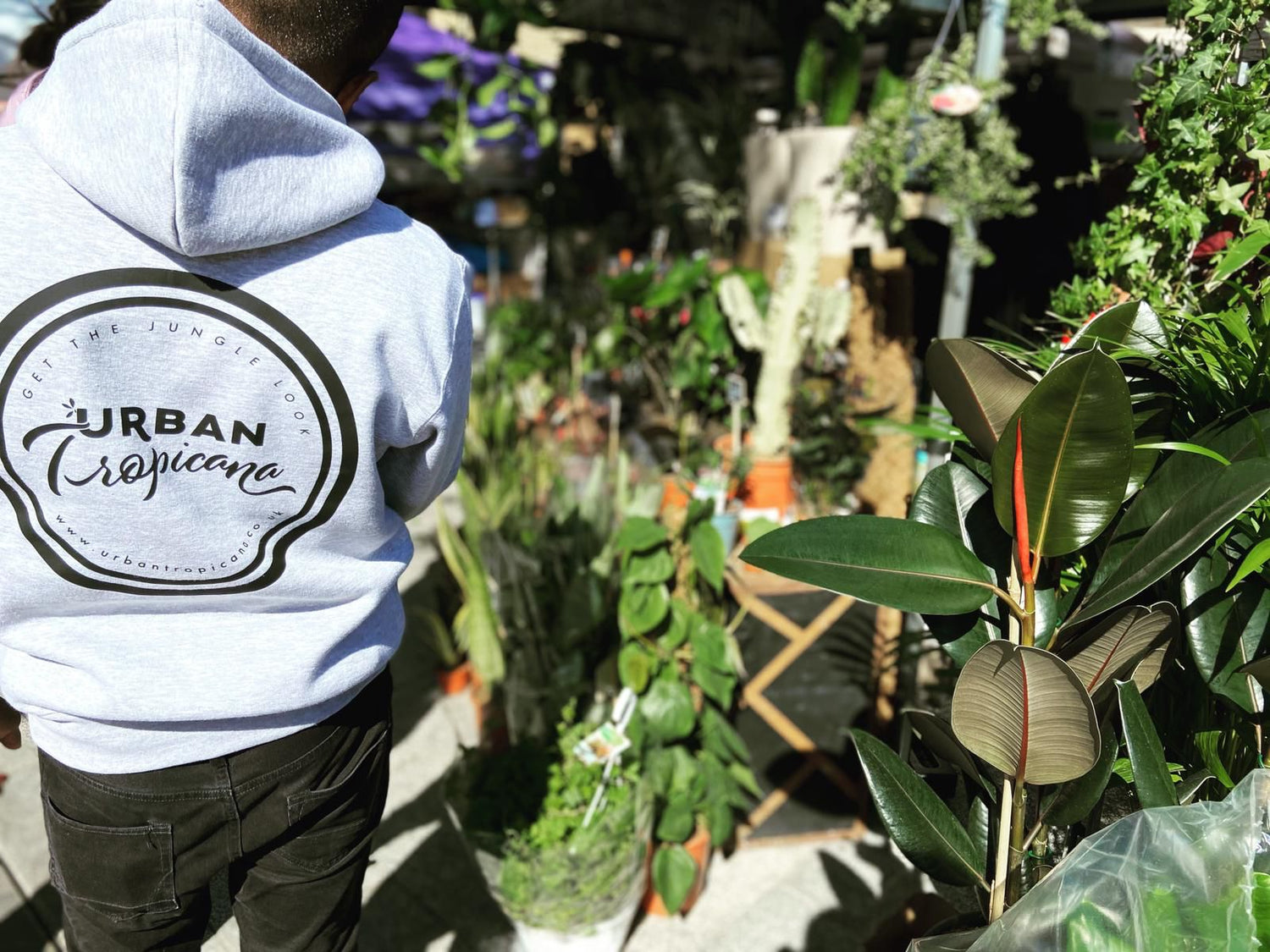 The back of Steve from Urban Tropicana wearing an Urban Tropicana branded hoodie in front the Urban Tropicana Plant Shop in Chiswick