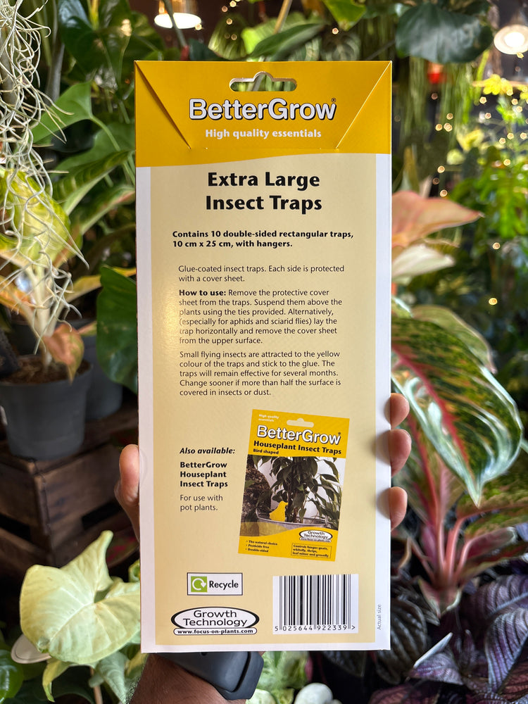 Extra large houseplant insect traps. Double sided, glue-coated and pesticide free. Controls fungus gnats, whitefly, thrips leaf miner ans greenfly. 