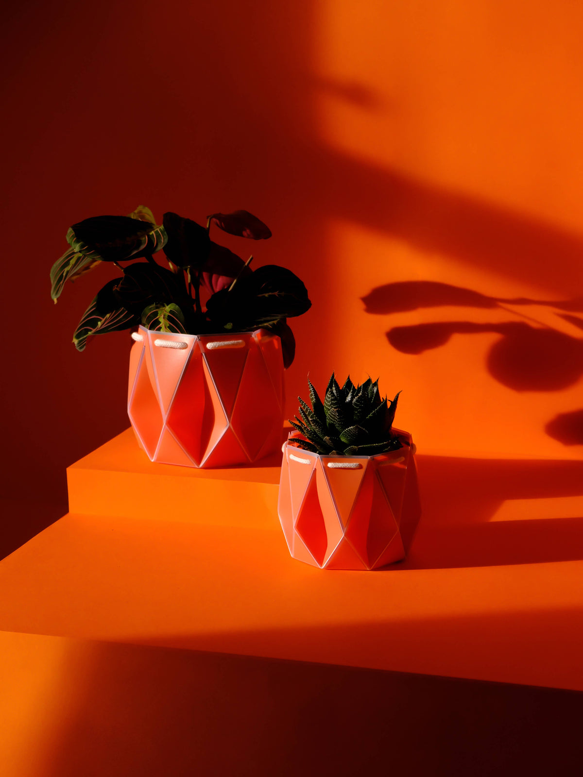 POTR | Coral Orange Self-Watering Plant Pot | 18cm