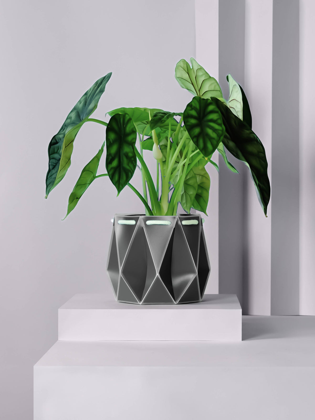 POTR | Slate Grey Self-watering Plant Pot | 18cm