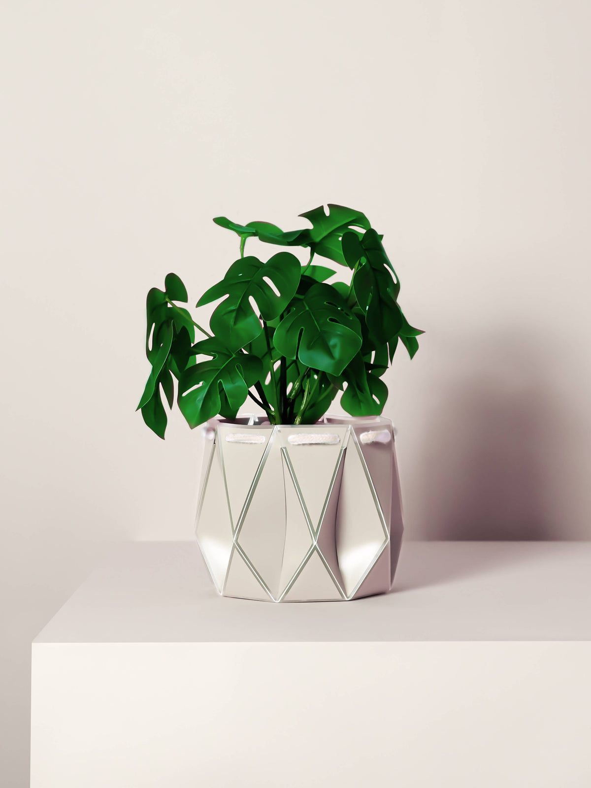POTR | Ivory White Self-Watering Plant Pot | 18cm