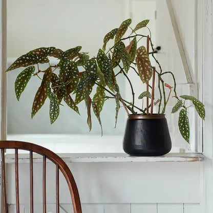 Sahara Sunset Medium Plant Pot